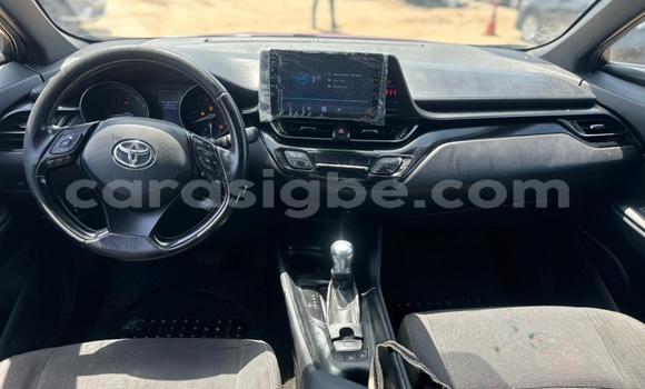 Buy Import Toyota C-HR Other Car in Lome in West africa Buy Import Toyota C-HR Other Car in Lome in West africa