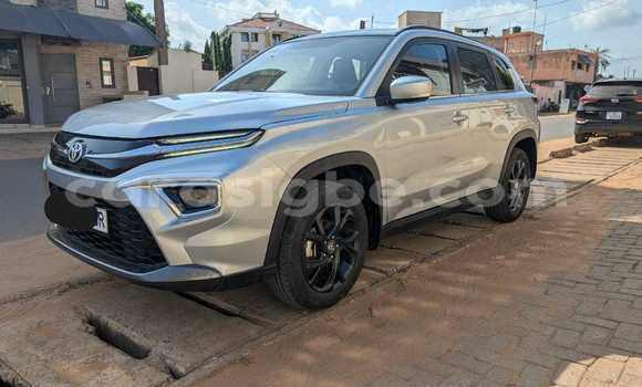 Buy Used Toyota Urban Cruiser Silver Car in Lome in Togo Buy Used Toyota Urban Cruiser Silver Car in Lome in Togo
