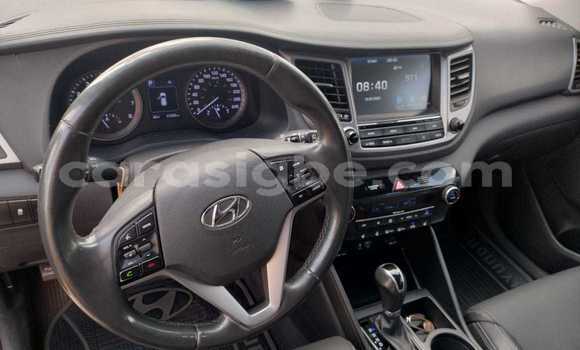 Buy Used Hyundai Tucson Silver Car in Lome in Maritime Buy Used Hyundai Tucson Silver Car in Lome in Maritime
