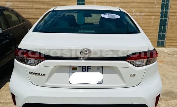 Buy Used Toyota Corolla White Car in Lome in Maritime Buy Used Toyota Corolla White Car in Lome in Maritime
