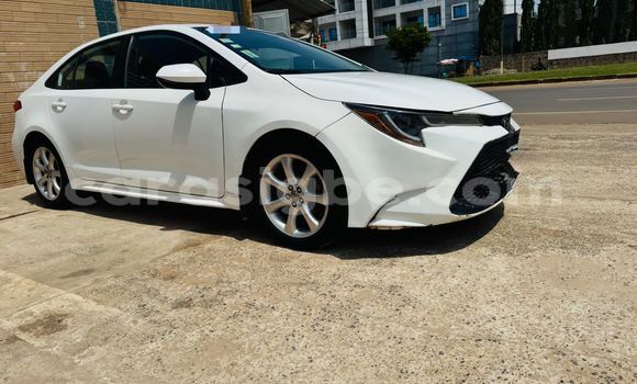 Buy Used Toyota Corolla White Car in Lome in Maritime Buy Used Toyota Corolla White Car in Lome in Maritime