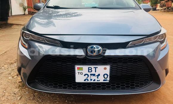 Acheter Occasion Voiture Toyota Corolla Bleu à Lomé, Maritime