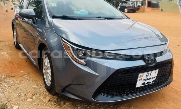 Buy Used Toyota Corolla Blue Car in Lome in Maritime Buy Used Toyota Corolla Blue Car in Lome in Maritime