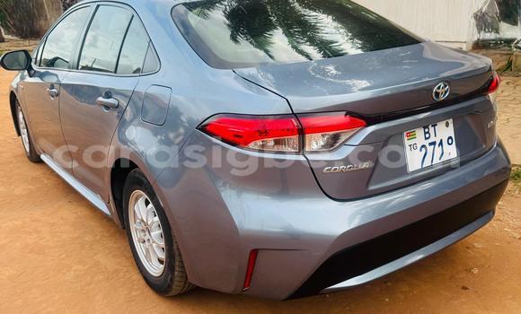 Buy Used Toyota Corolla Blue Car in Lome in Maritime Buy Used Toyota Corolla Blue Car in Lome in Maritime