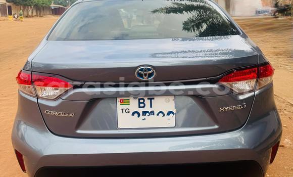 Buy Used Toyota Corolla Blue Car in Lome in Maritime Buy Used Toyota Corolla Blue Car in Lome in Maritime