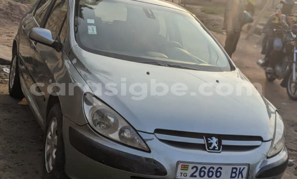 Acheter Occasion Voiture Peugeot 307 Gris à Adawlato, Togo