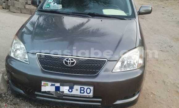 Acheter Occasion Voiture Toyota Corolla Marron à Lomé, Maritime