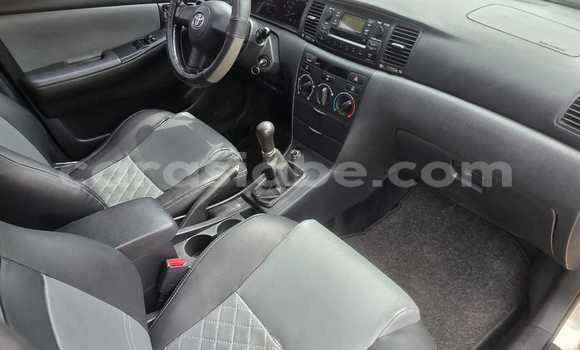 Buy Used Toyota Corolla Silver Car in Lome in Togo Buy Used Toyota Corolla Silver Car in Lome in Togo