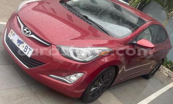 Buy Used Hyundai Elantra Red Car in Lome in Togo Buy Used Hyundai Elantra Red Car in Lome in Togo
