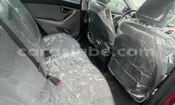Buy Used Hyundai Elantra Red Car in Lome in Togo Buy Used Hyundai Elantra Red Car in Lome in Togo