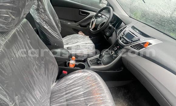 Buy Used Hyundai Elantra Red Car in Lome in Togo Buy Used Hyundai Elantra Red Car in Lome in Togo