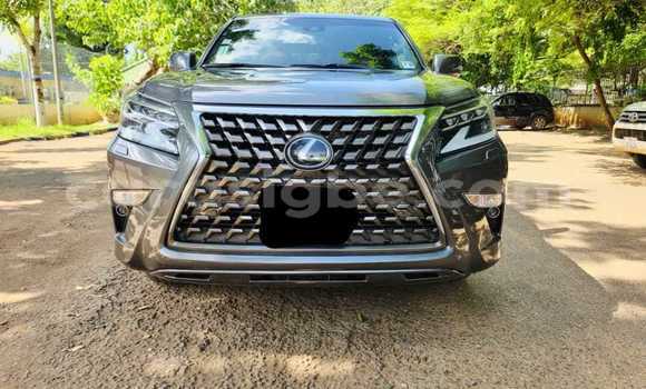 Acheter Occasion Voiture Lexus GX 460 Gris à Lomé, Togo
