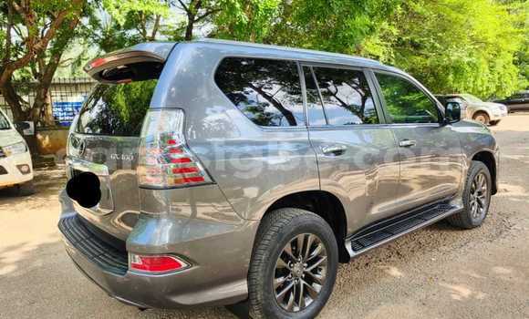 Acheter Occasion Voiture Lexus GX 460 Gris à Lomé, Togo Acheter Occasion Voiture Lexus GX 460 Gris à Lomé, Togo