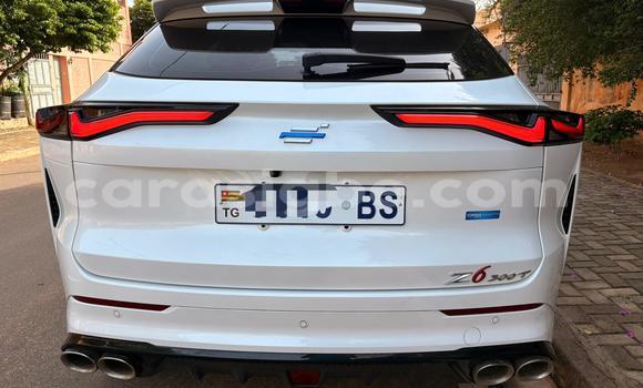 Buy New Changan Z-Shine White Car in Kodjoviakopé in Togo Buy New Changan Z-Shine White Car in Kodjoviakopé in Togo