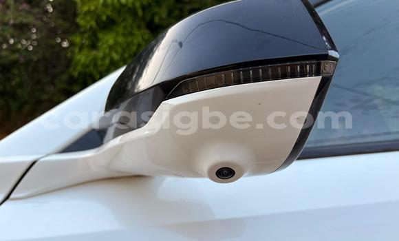 Buy New Changan Z-Shine White Car in Kodjoviakopé in Togo Buy New Changan Z-Shine White Car in Kodjoviakopé in Togo