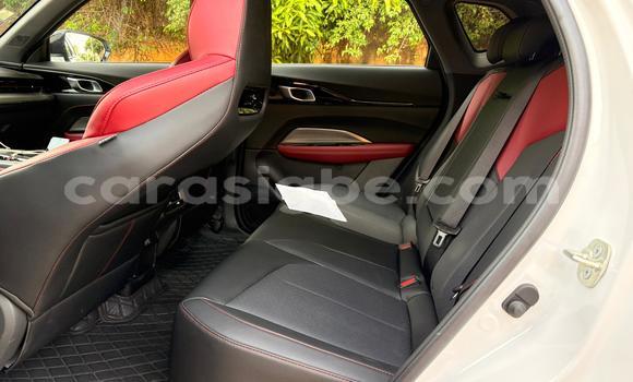 Buy New Changan Z-Shine White Car in Kodjoviakopé in Togo Buy New Changan Z-Shine White Car in Kodjoviakopé in Togo