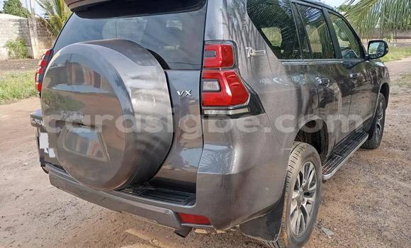 Buy New Toyota Land Cruiser Prado Silver Car in Lome in Maritime Buy New Toyota Land Cruiser Prado Silver Car in Lome in Maritime