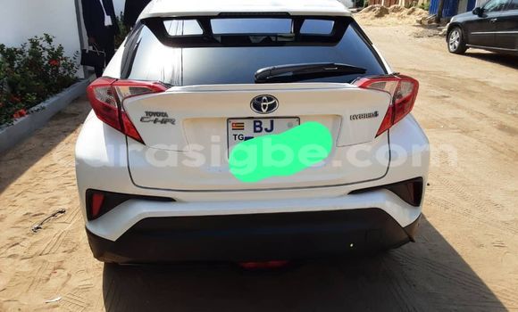 Acheter Occasion Voiture Toyota C-HR Blanc à Lomé, Maritime
