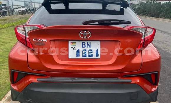 Acheter Occasion Voiture Toyota C-HR Rouge à Lomé, Maritime Acheter Occasion Voiture Toyota C-HR Rouge à Lomé, Maritime