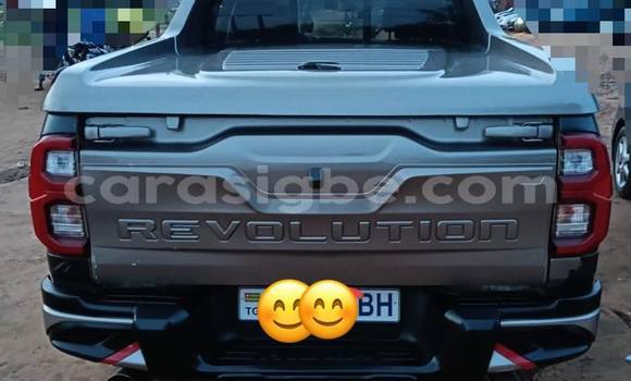 Acheter Occasion Voiture Toyota Hilux Beige à Lomé, Maritime