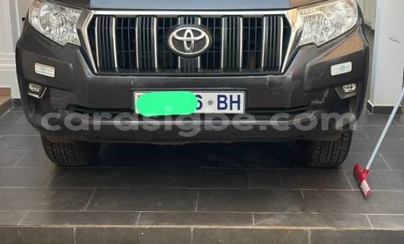 Acheter Occasion Voiture Toyota Land Cruiser Prado Autre à Lomé, Maritime