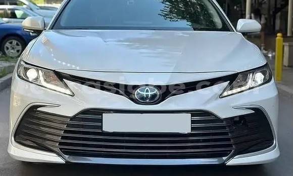Acheter Occasion Voiture Toyota Camry Blanc à Lomé, Maritime