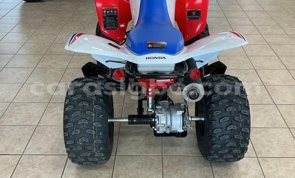 Buy New Honda TRX Other Bike in Guerin Kouka in Centre Buy New Honda TRX Other Bike in Guerin Kouka in Centre