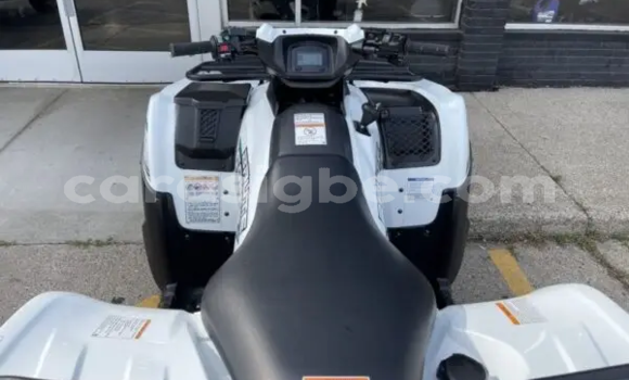 Buy New Kawasaki Brute Force White Bike in Atakpame in Togo Buy New Kawasaki Brute Force White Bike in Atakpame in Togo