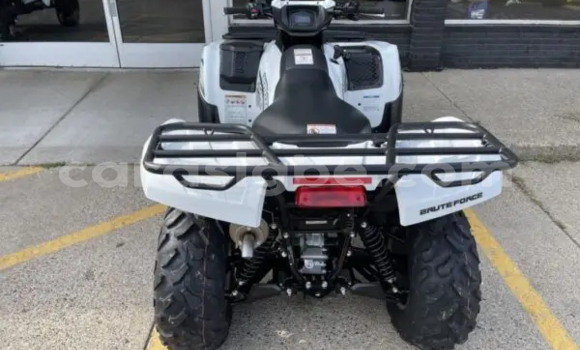 Buy New Kawasaki Brute Force White Bike in Atakpame in Togo Buy New Kawasaki Brute Force White Bike in Atakpame in Togo