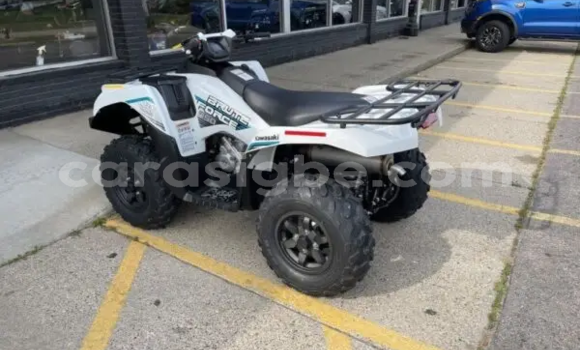 Buy New Kawasaki Brute Force White Bike in Atakpame in Togo Buy New Kawasaki Brute Force White Bike in Atakpame in Togo