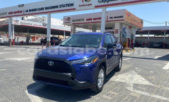 Acheter Occasion Voiture Toyota Corolla Cross Bleu à Adawlato, Togo