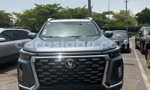 Acheter Occasion Voiture Changan Hunter Gris à Lomé, Maritime