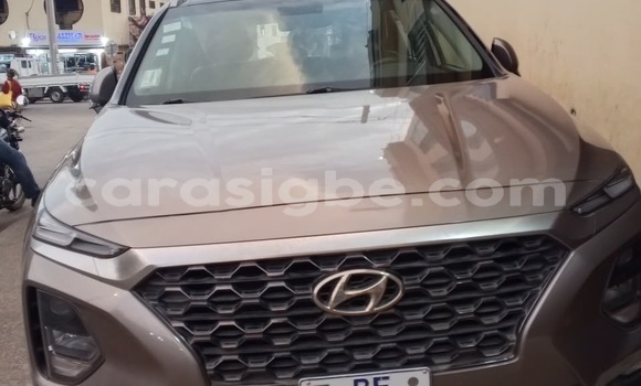 Acheter Occasion Voiture Hyundai Santa Fe Marron à Lomé, Maritime