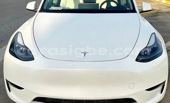 Acheter Occasion Voiture Tesla Model X Blanc à Lomé, Maritime