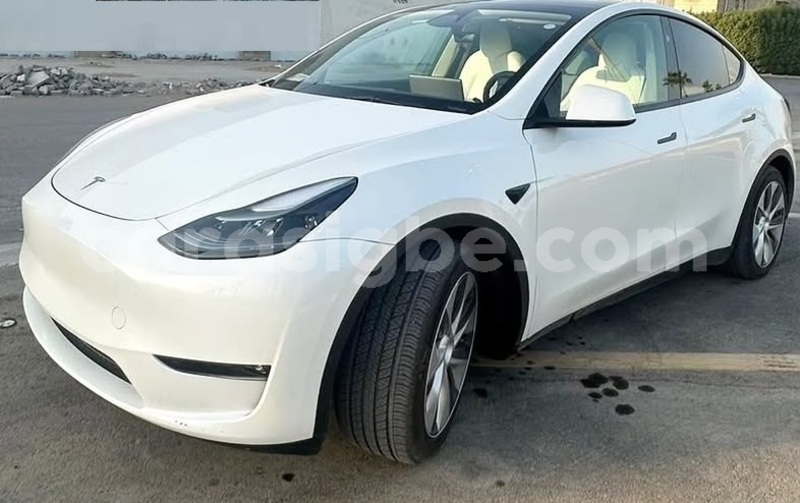 Big with watermark tesla model x maritime lome 11711