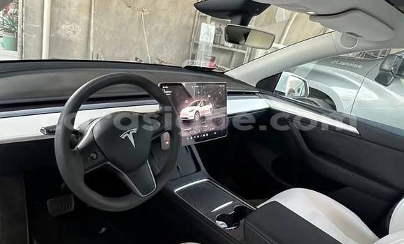 Buy Used Tesla Model X White Car in Lome in Maritime Buy Used Tesla Model X White Car in Lome in Maritime