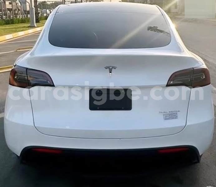 Big with watermark tesla model x maritime lome 11711