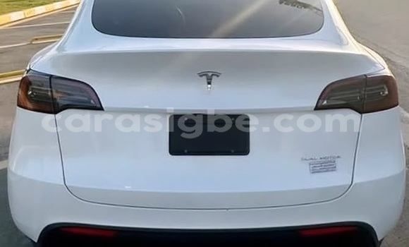 Buy Used Tesla Model X White Car in Lome in Maritime Buy Used Tesla Model X White Car in Lome in Maritime