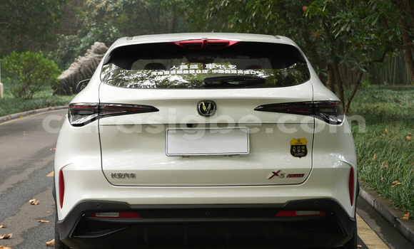 Buy New Changan Raeton Green Car in Noukafou in Togo Buy New Changan Raeton Green Car in Noukafou in Togo