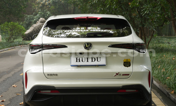 Buy New Changan Raeton Green Car in Noukafou in Togo Buy New Changan Raeton Green Car in Noukafou in Togo
