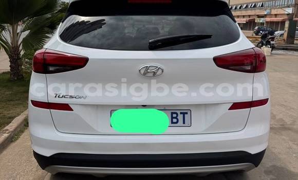 Buy Used Hyundai Tucson White Car in Lome in Togo Buy Used Hyundai Tucson White Car in Lome in Togo