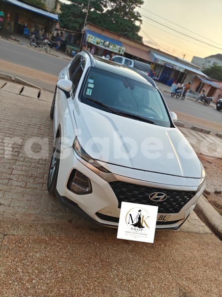 Big with watermark hyundai santa fe maritime lome 11771