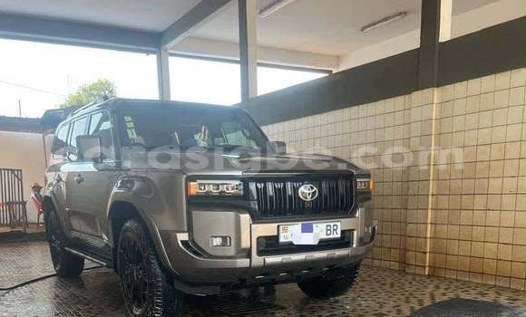 Acheter Occasion Voiture Toyota Prado Gris à Lomé, Maritime