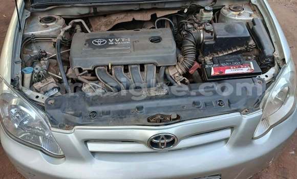 Acheter Occasion Voiture Toyota Corolla Gris à Lome, West africa Acheter Occasion Voiture Toyota Corolla Gris à Lome, West africa