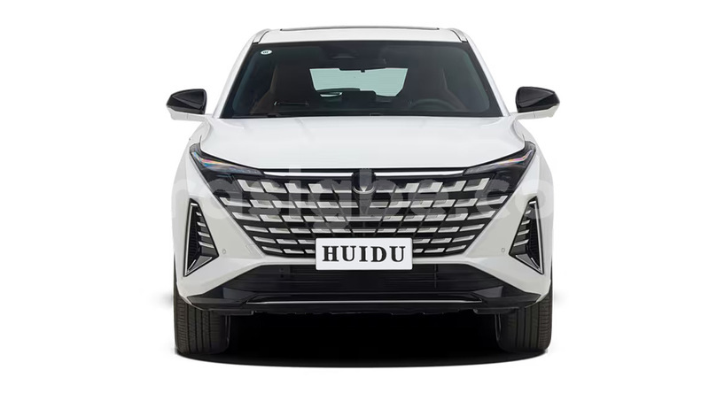 Big with watermark changan raeton togo kara 11799