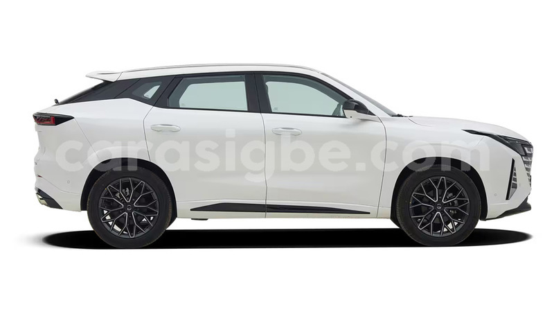 Big with watermark changan raeton togo kara 11799