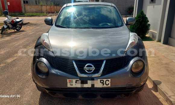 Acheter Occasion Voiture Nissan Juke Gris à Lomé, Togo
