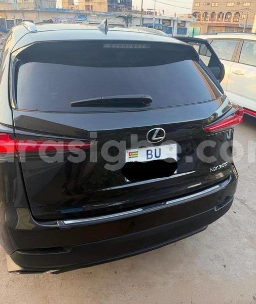 Big with watermark lexus nx togo lome 11854