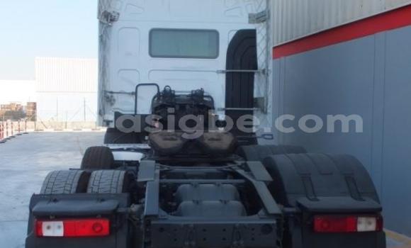 Buy Used Renault D55 White Truck in Lome in Maritime Buy Used Renault D55 White Truck in Lome in Maritime
