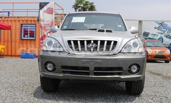 Acheter Occasion Voiture Hyundai Santa Fe Gris à Lomé, Maritime
